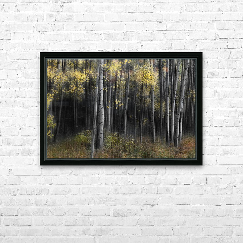 Aspen Tree Grove Into Darkness HD sublimation métal imprimé avec décoration flotteur cadre (boîte)