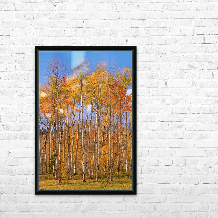 colorful colorado autumn  HD sublimation métal imprimé avec décoration flotteur cadre (boîte)