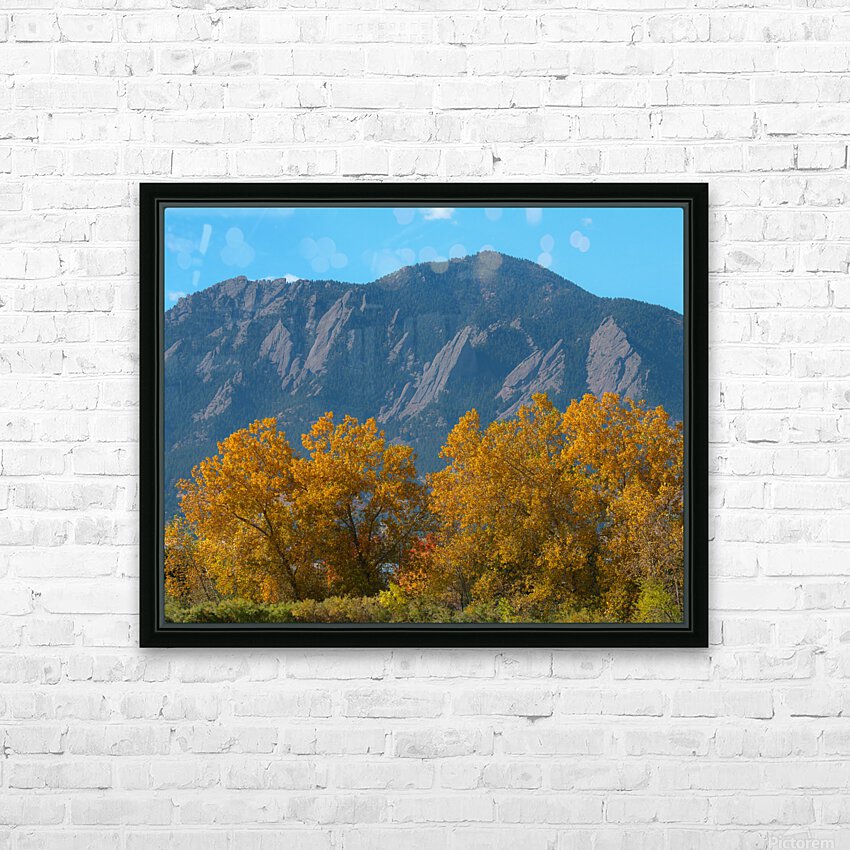 Boulder Flatirons Mighty Cottonwood Trees HD Sublimation Metal print with Decorating Float Frame (BOX)