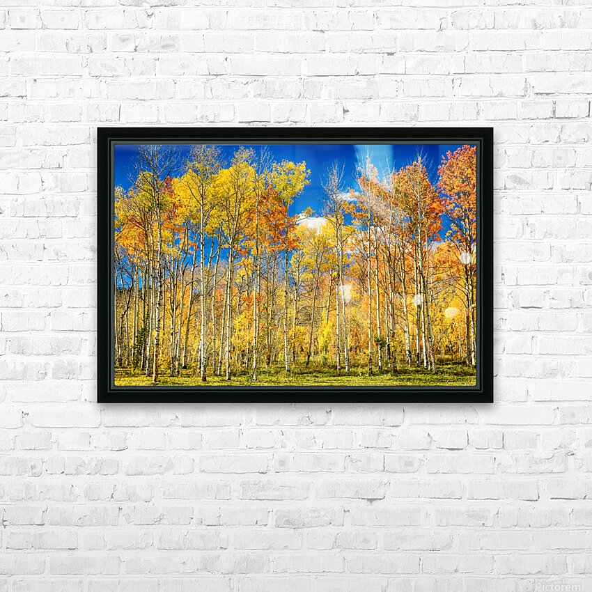 colorful colorado autumn aspen trees HD Sublimation Metal print with Decorating Float Frame (BOX)