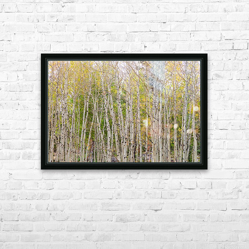 Colorful Forest Twist  and Turns HD Sublimation Metal print with Decorating Float Frame (BOX)