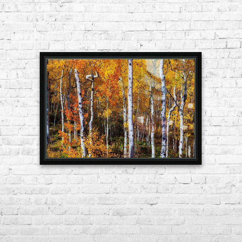 Forest Color Burst HD Sublimation Metal print with Decorating Float Frame (BOX)
