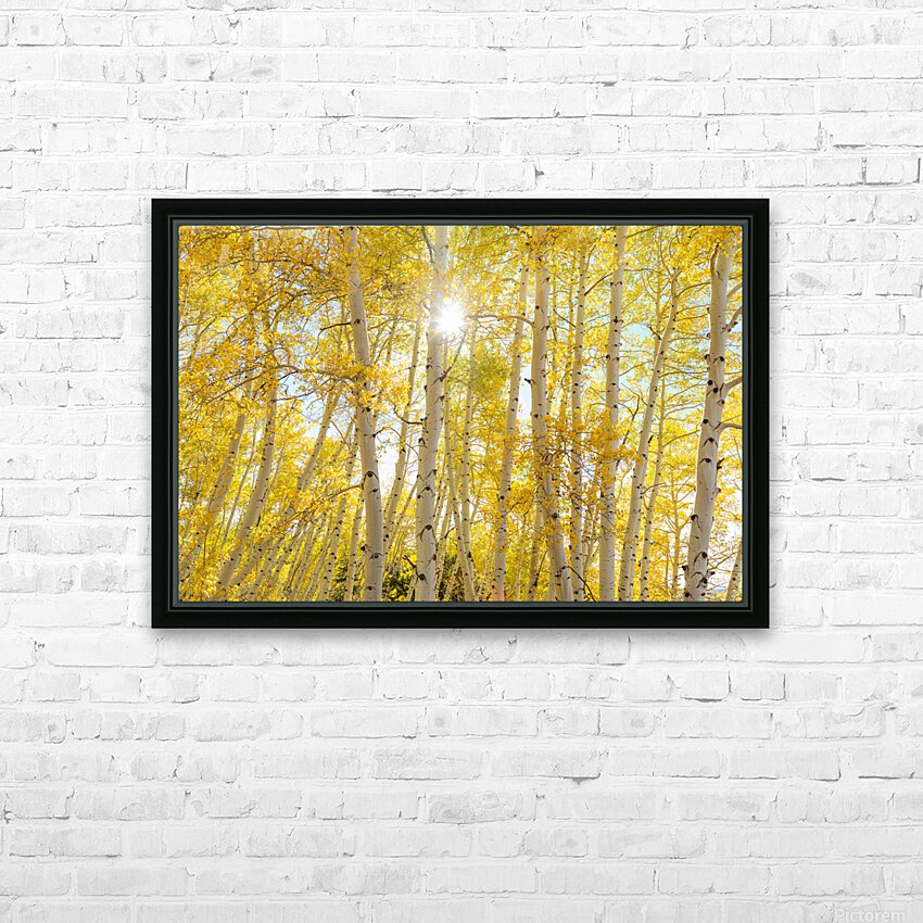 Golden Sunshine Autumn Day HD Sublimation Metal print with Decorating Float Frame (BOX)