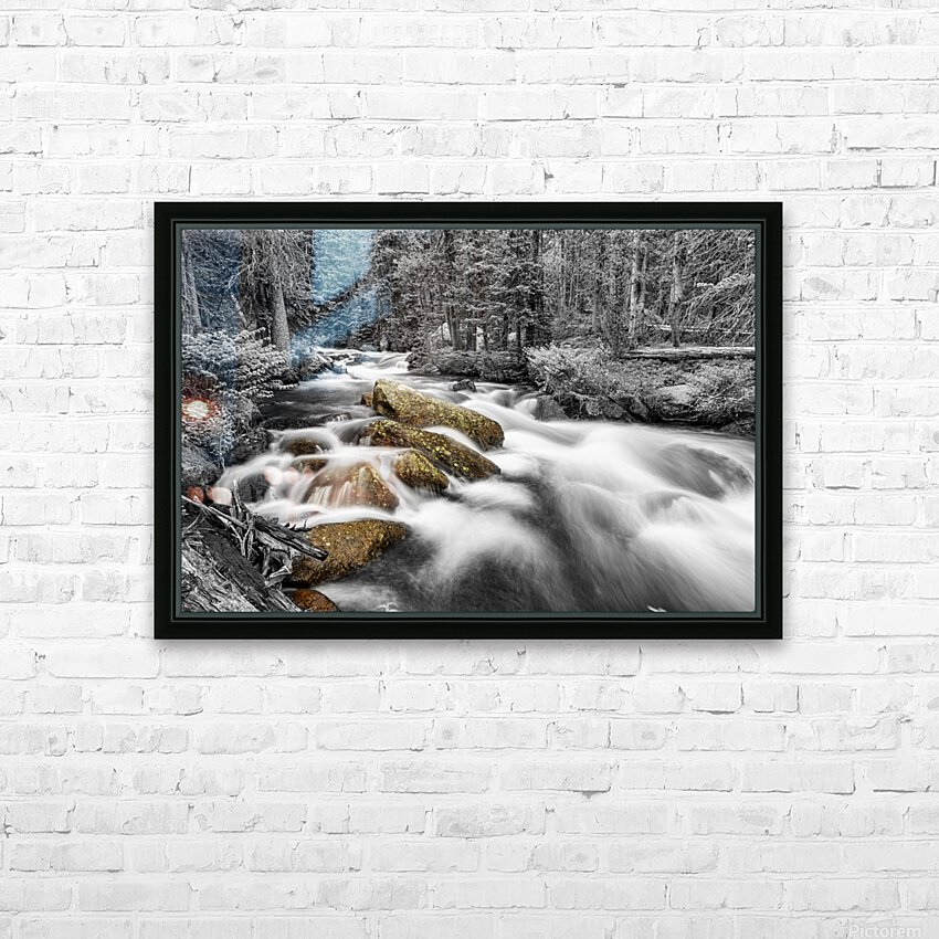 Roosevelt National Forest Stream BW Selective HD Sublimation Metal print with Decorating Float Frame (BOX)
