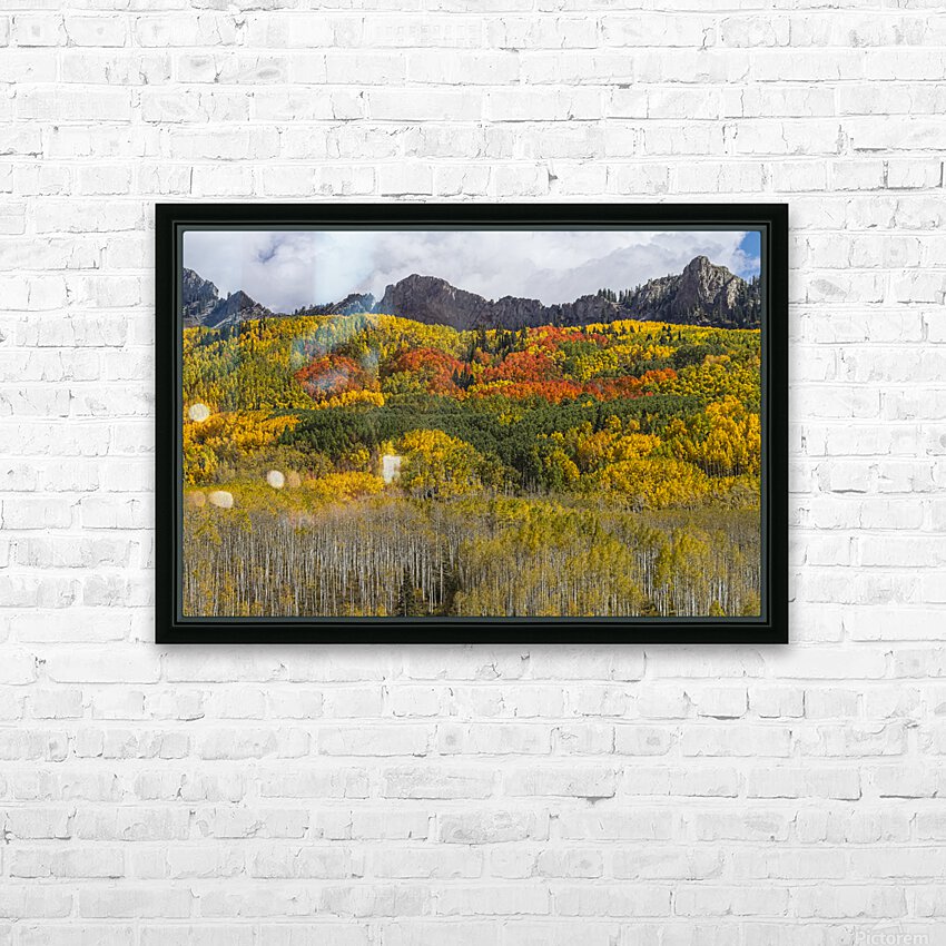 Colorado Kebler Pass Fall Foliage HD Sublimation Metal print with Decorating Float Frame (BOX)