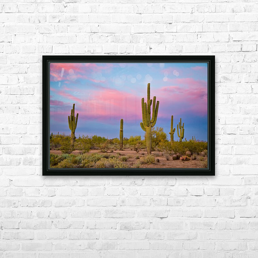 Southwest Desert Spring HD Sublimation Metal print with Decorating Float Frame (BOX)