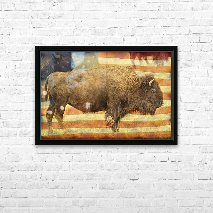 American Buffalo HD Sublimation Metal print with Decorating Float Frame (BOX)