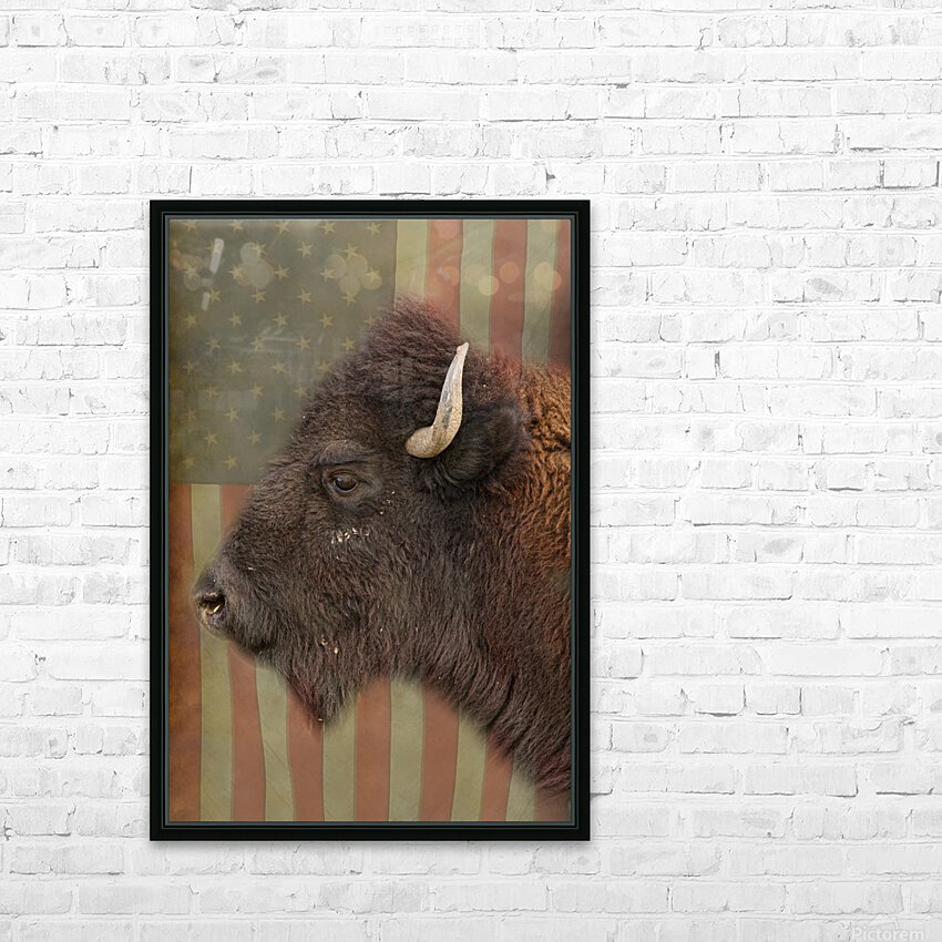 American Bison Profile HD Sublimation Metal print with Decorating Float Frame (BOX)