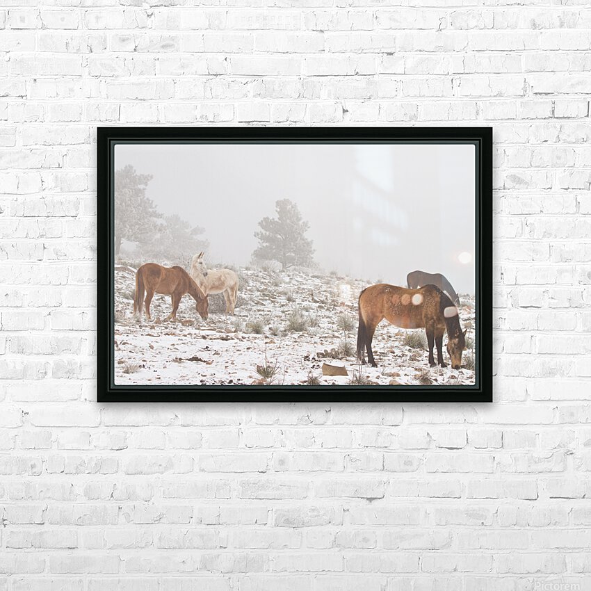 Horses Winter Snow Fog HD Sublimation Metal print with Decorating Float Frame (BOX)