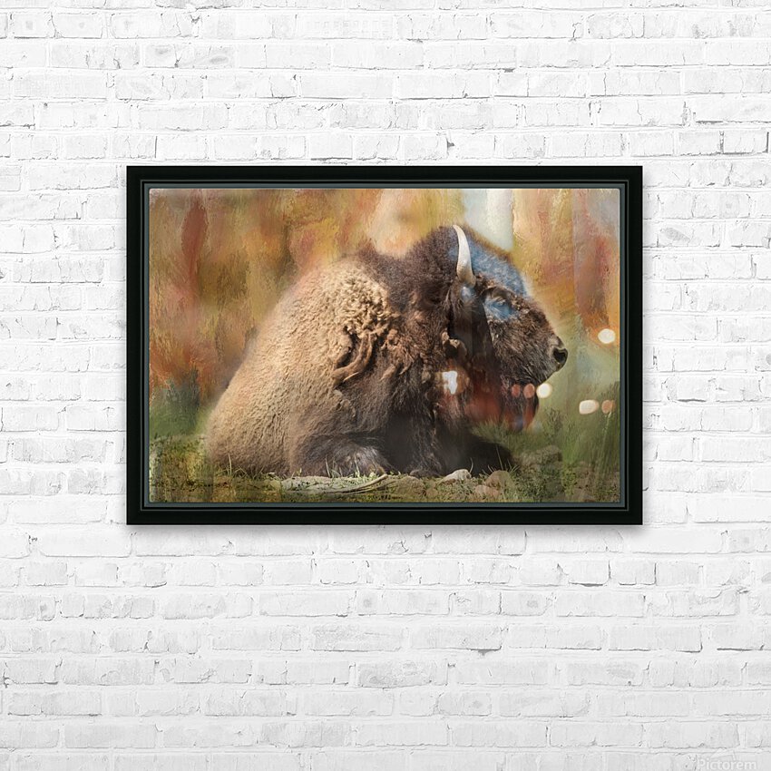 Colorful Bison HD Sublimation Metal print with Decorating Float Frame (BOX)
