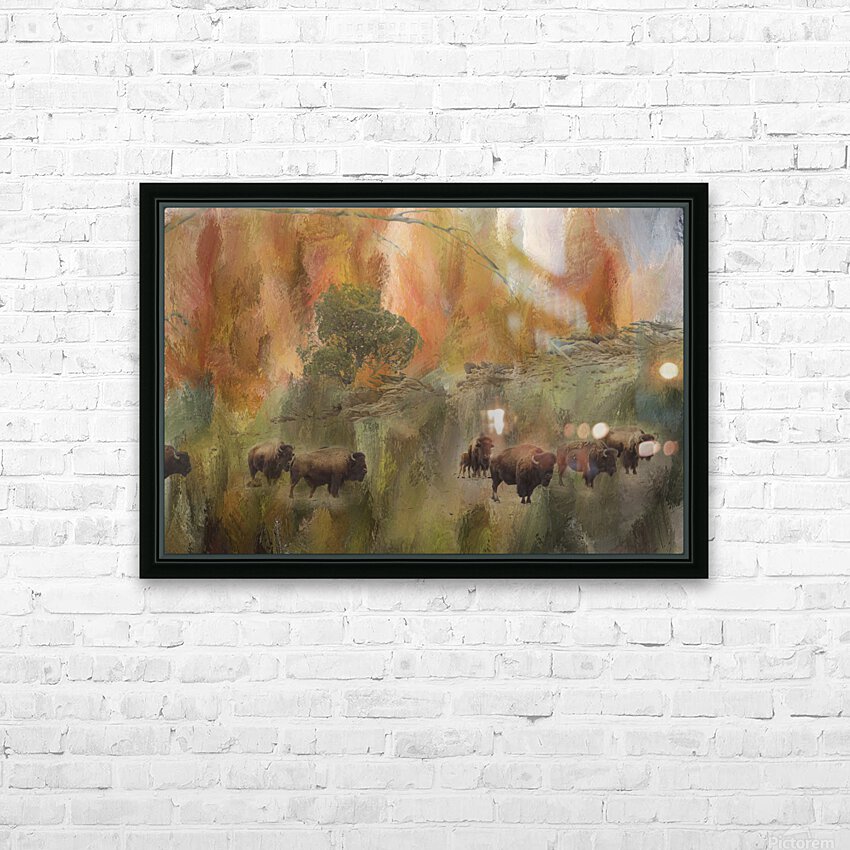 Bison Herd Watching HD Sublimation Metal print with Decorating Float Frame (BOX)