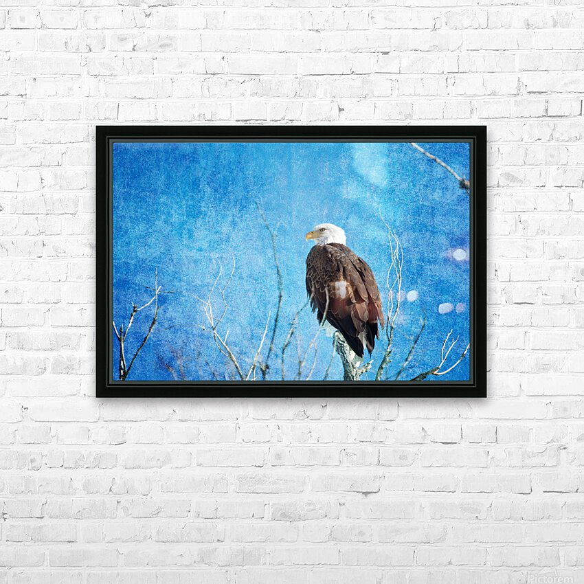 Bald Eagle Blues HD Sublimation Metal print with Decorating Float Frame (BOX)