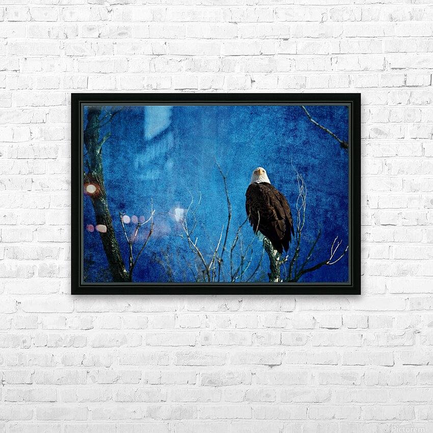Bald Eagle Blues Into Night HD Sublimation Metal print with Decorating Float Frame (BOX)