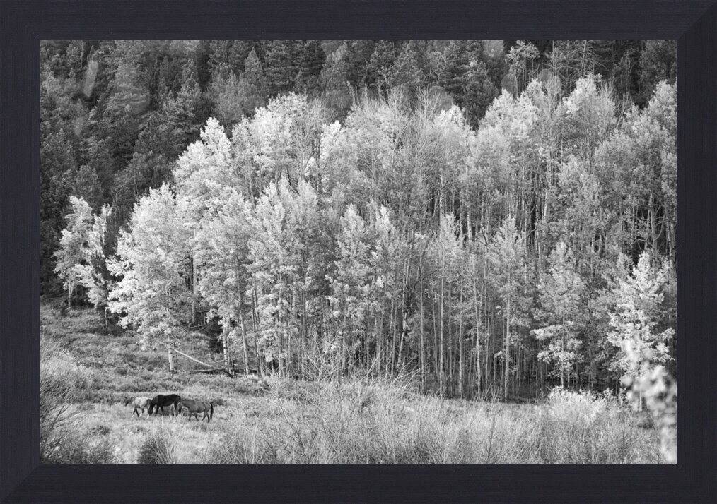 Impression de cadre personnalisé