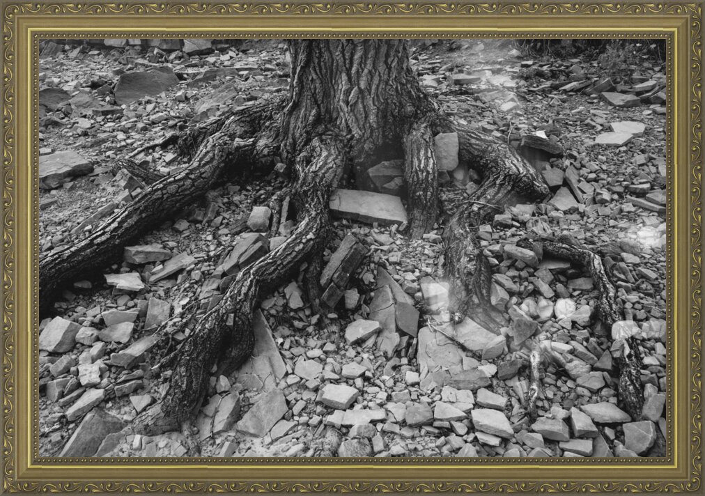 Impression de cadre personnalisé