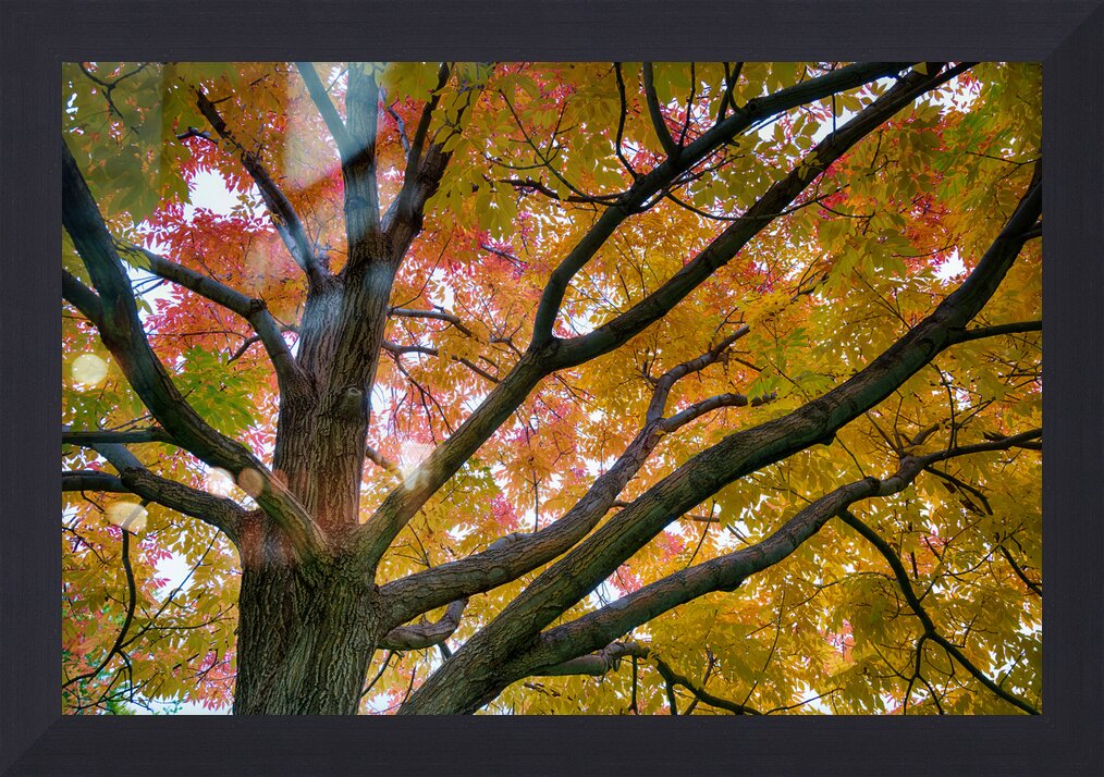 Impression de cadre personnalisé