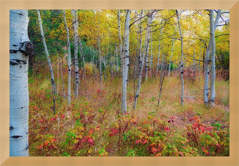 Impression de cadre personnalisé