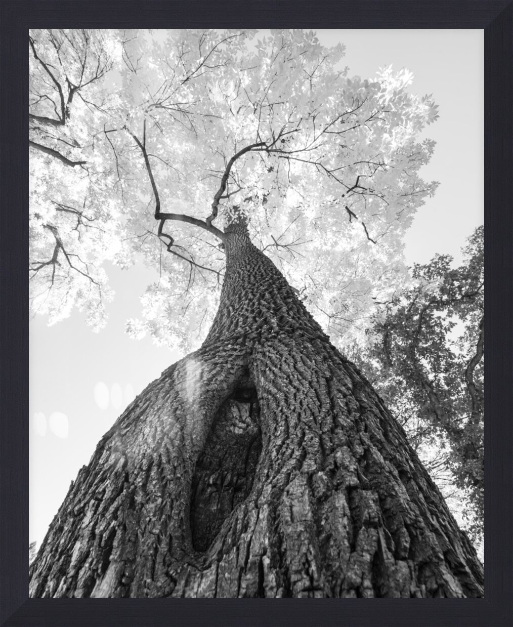 Impression de cadre personnalisé