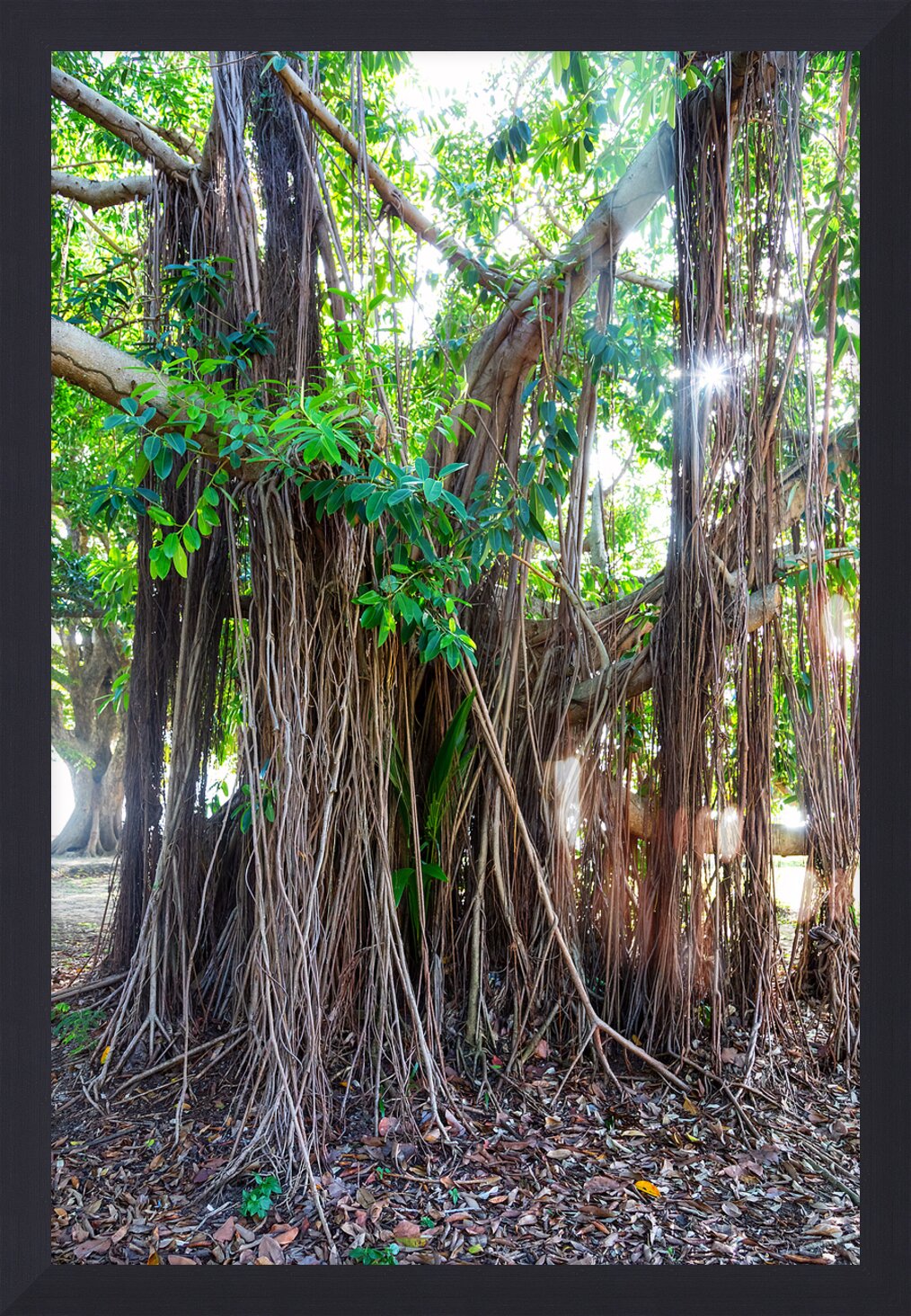 Impression de cadre personnalisé