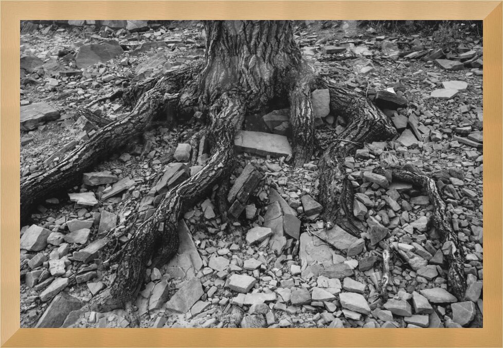 Impression de cadre personnalisé