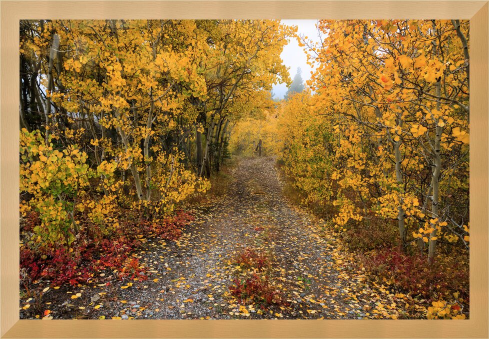 Impression de cadre personnalisé