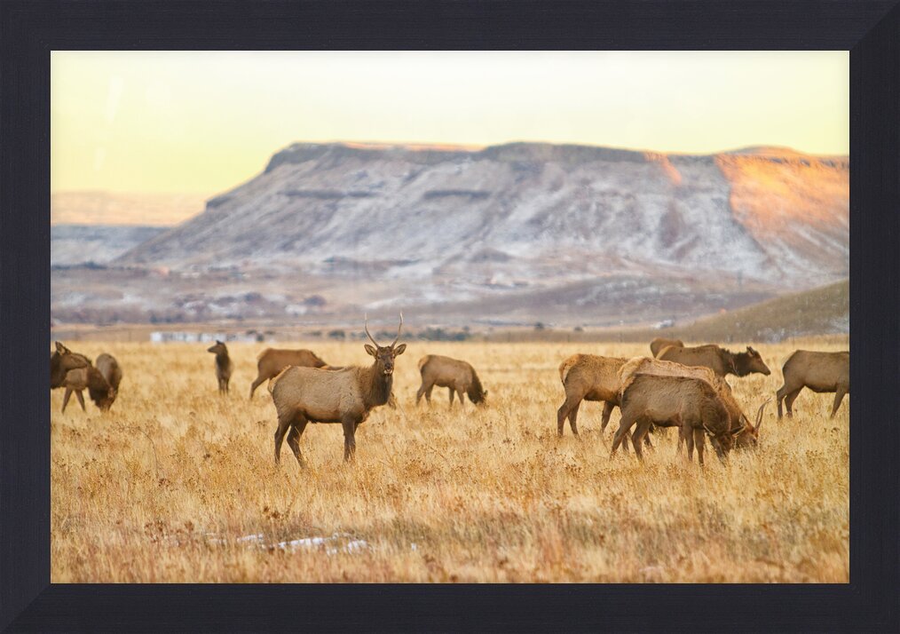 Impression de cadre personnalisé
