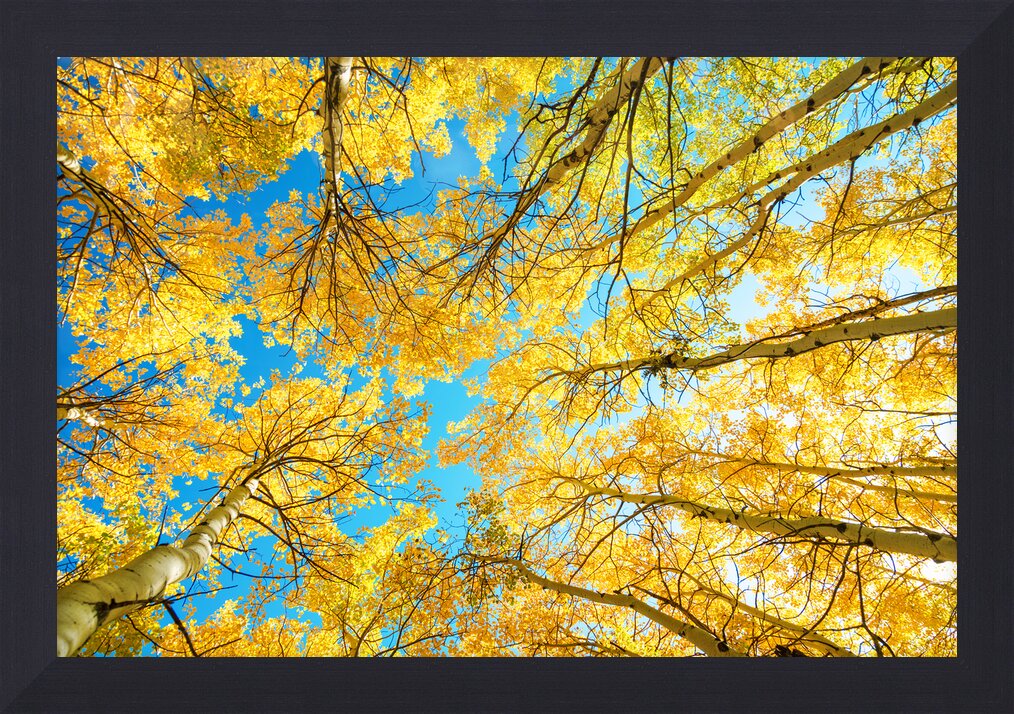 Impression de cadre personnalisé