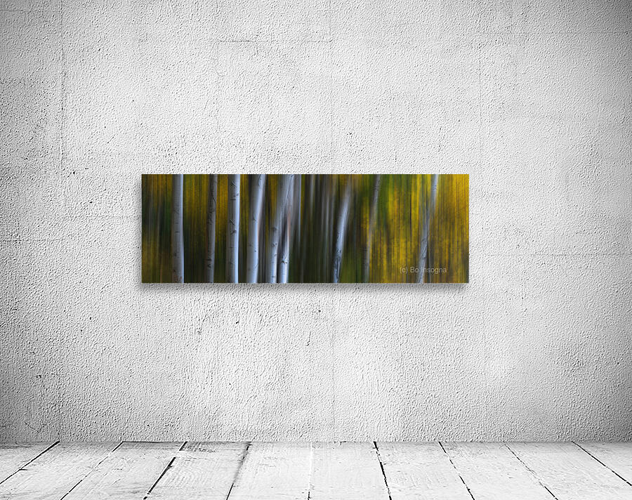 Forest Wilderness Wonderland Abstract  Photo Art Wall Preview