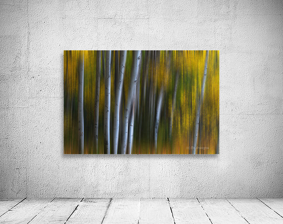 Forest Wilderness Wonderland Abstract  Photo Art Wall Preview