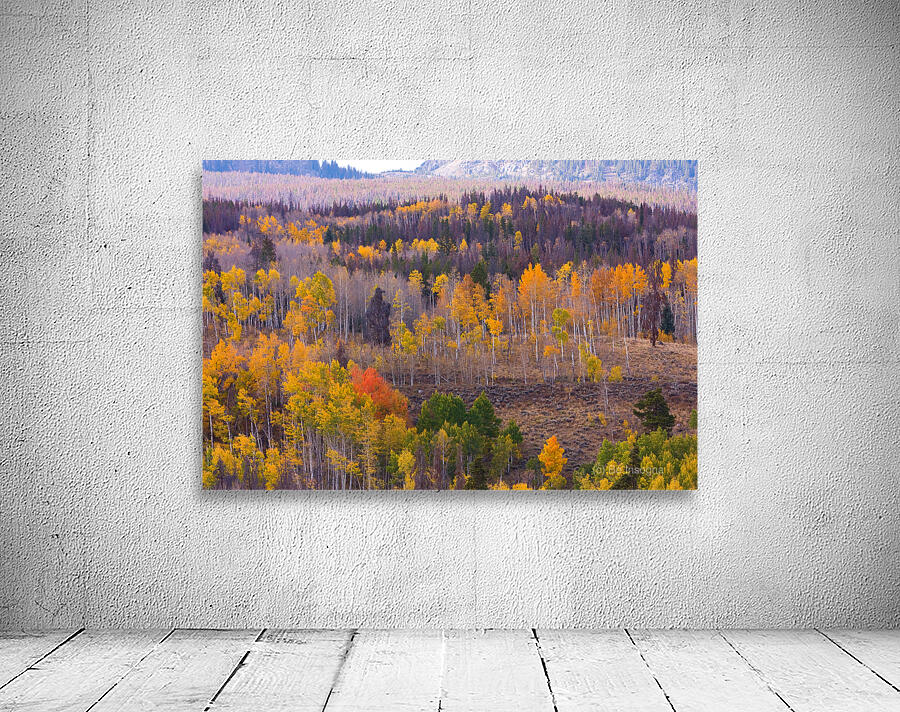 Rocky Mountain Autumn View Wall Preview