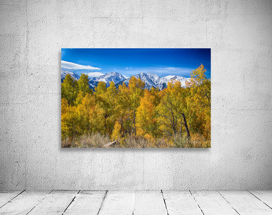 Independence Pass Autumn View Wall Preview