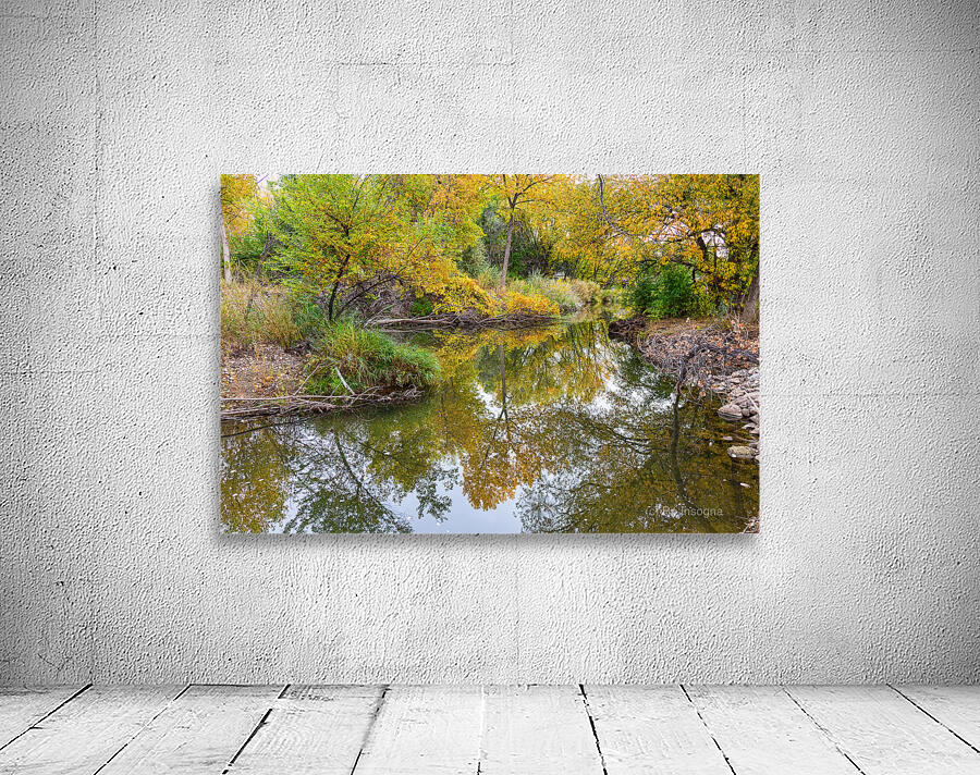 St Vrain Tranquility Wall Preview