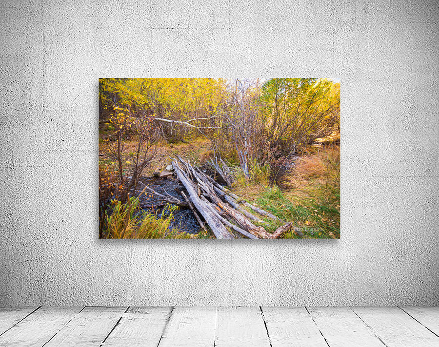 Rustic Log Bridge in Golden Autumn Forest – Serene Fall Creek  Wall Preview