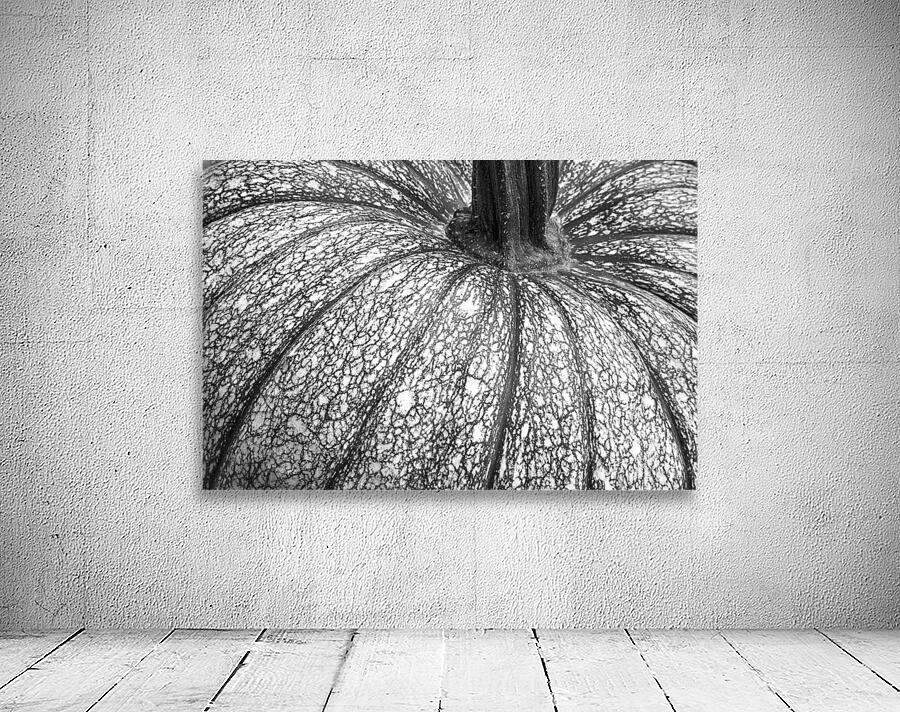 Pumpkin Pumpkin Black and White Wall Preview