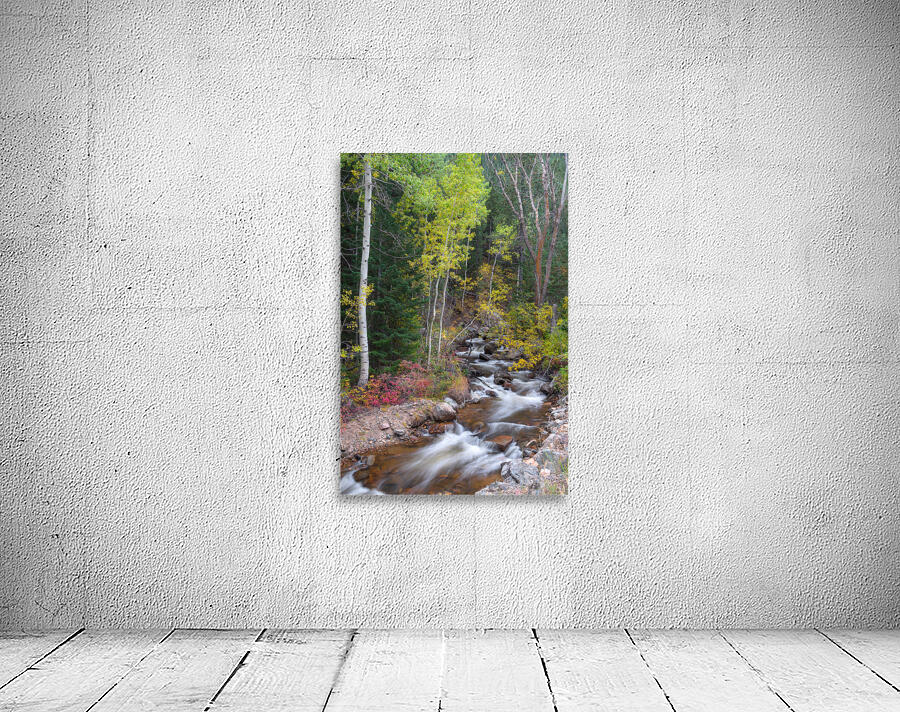 Tranquility on the Stream  Wall Preview