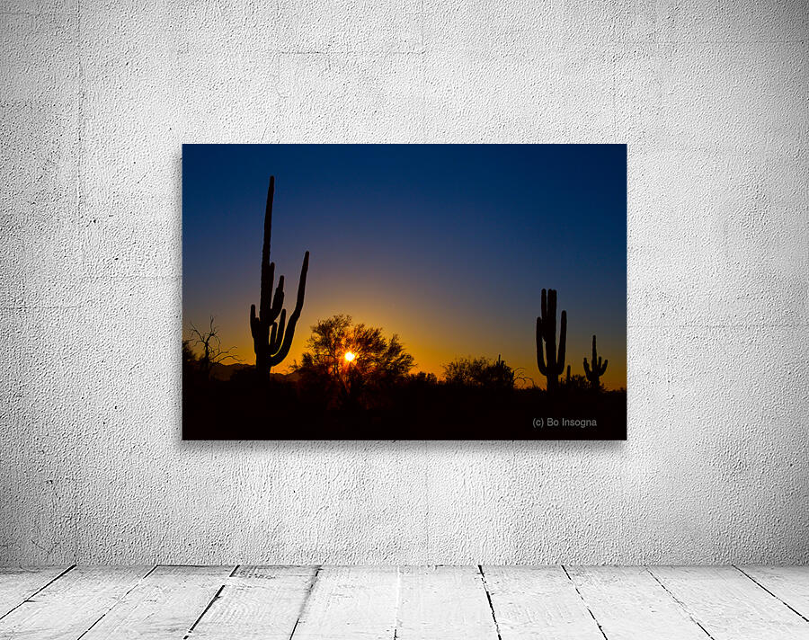 Just Another Sonoran Desert Sunrise Wall Preview