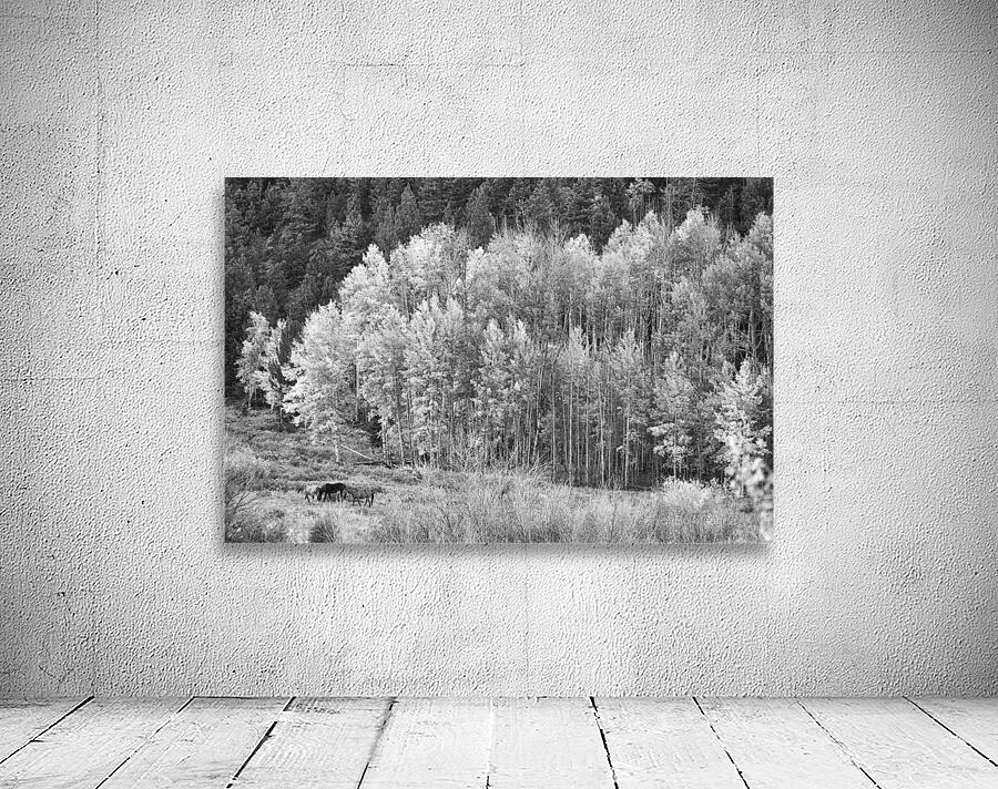 Autumn Grazing Horses Bonanza Wall Preview