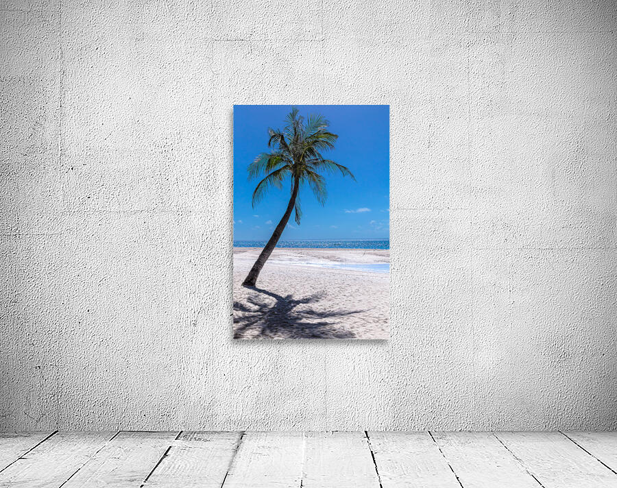 White Sand Beaches and Tropical Blue Skies Wall Preview
