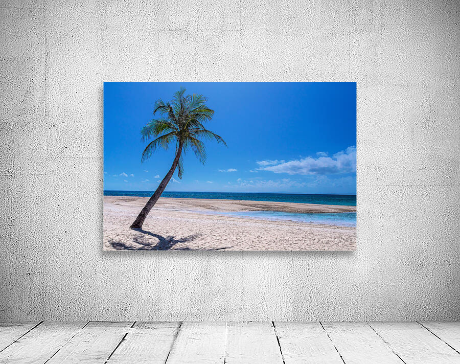 Tropical Blue Skies And White Sand Beaches Wall Preview