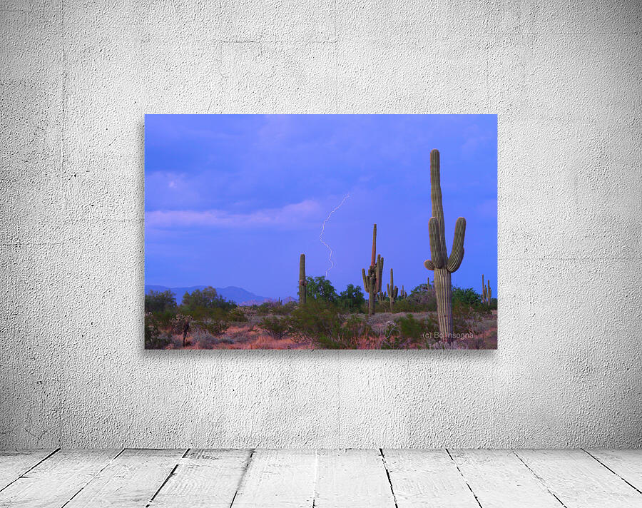 Southwest Sonoran Desert Lightning Strike Wall Preview