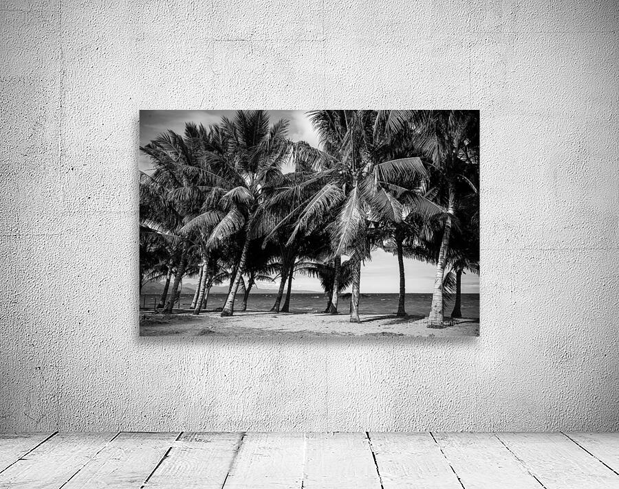 Whispers of Monochrome Palms Wall Preview