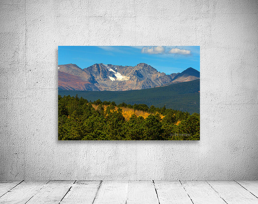 Rocky Mountain Pool of Gold Wall Preview