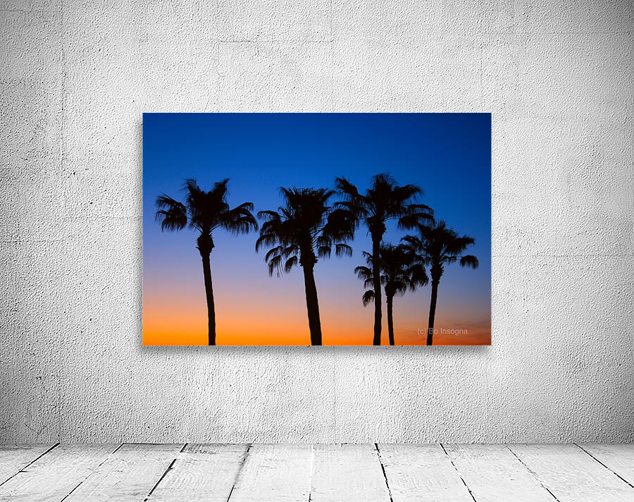 Palm Shadows Dancing in the Colors of Dusk Wall Preview