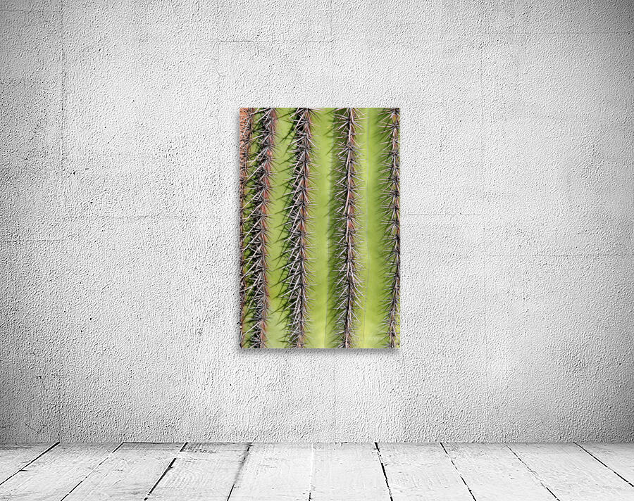 Vertical Close Up of a Southwest Saguaro Cactus Wall Preview