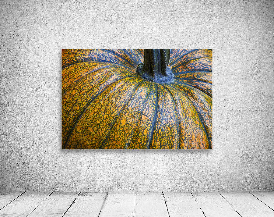 Pumpkin Close Up Fine Art Photography Wall Art Print Wall Preview