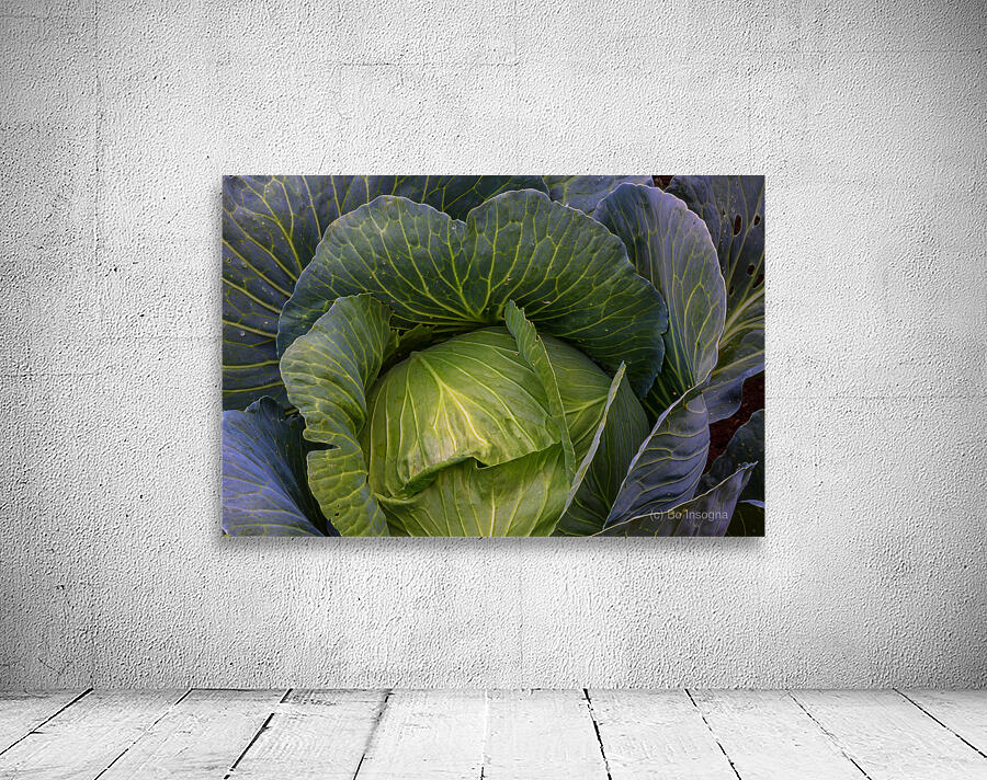 Verdant Embrace A Cabbages Garden Heart Wall Preview