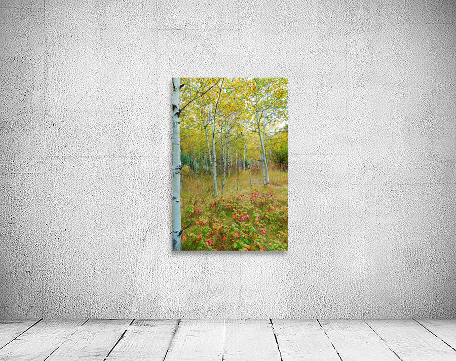 Radiant Autumn Forest Landscape in Gold and Red Wall Preview