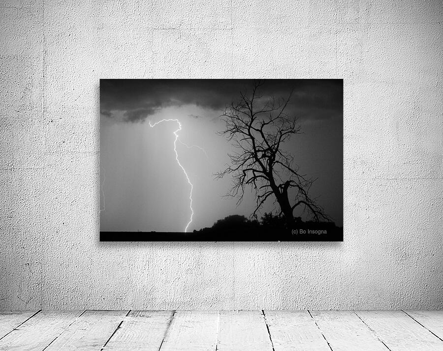 Lightning Strikes the Twisted Sentinel Tree Wall Preview