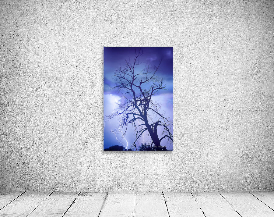 Purple Rain Over Boulder County Colorado Wall Preview