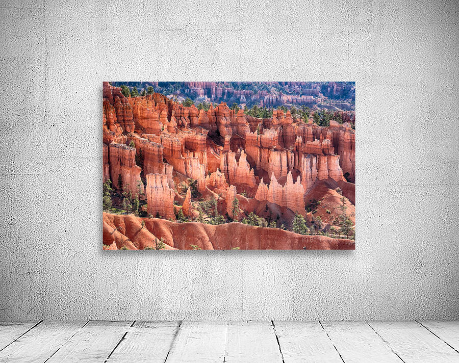 Bryce Canyon Utah Hoodoos Views Wall Preview